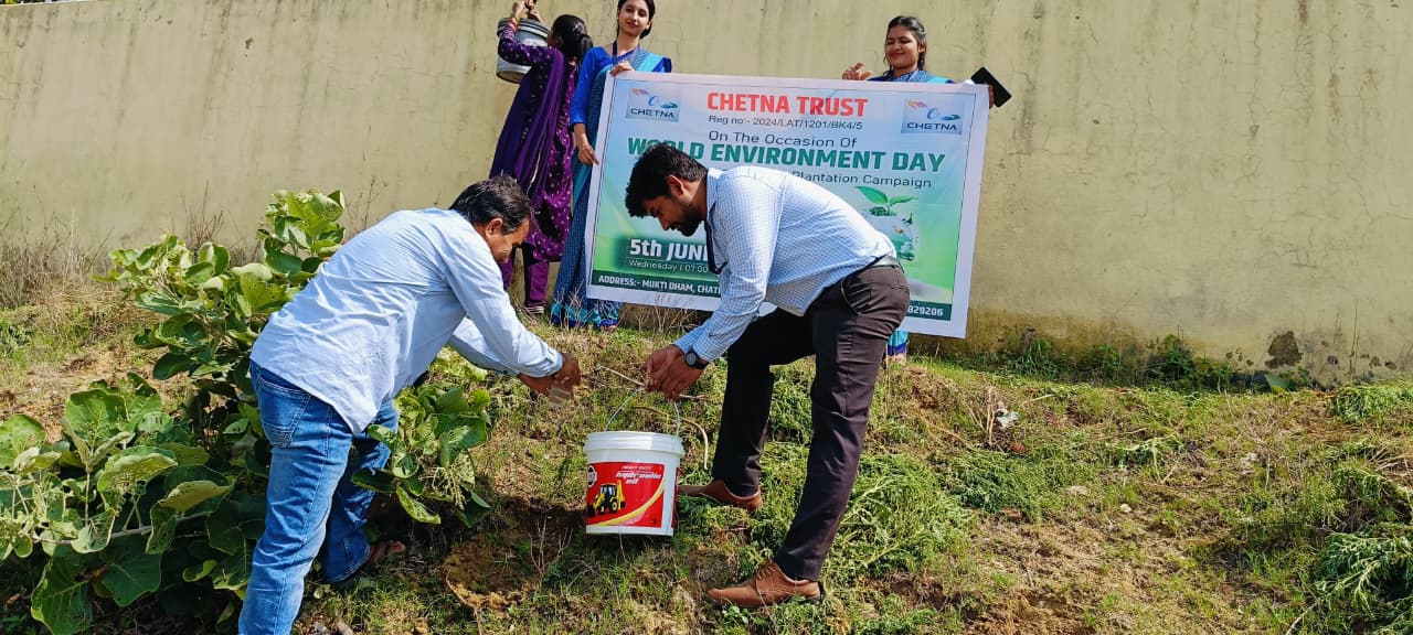 Environment Program