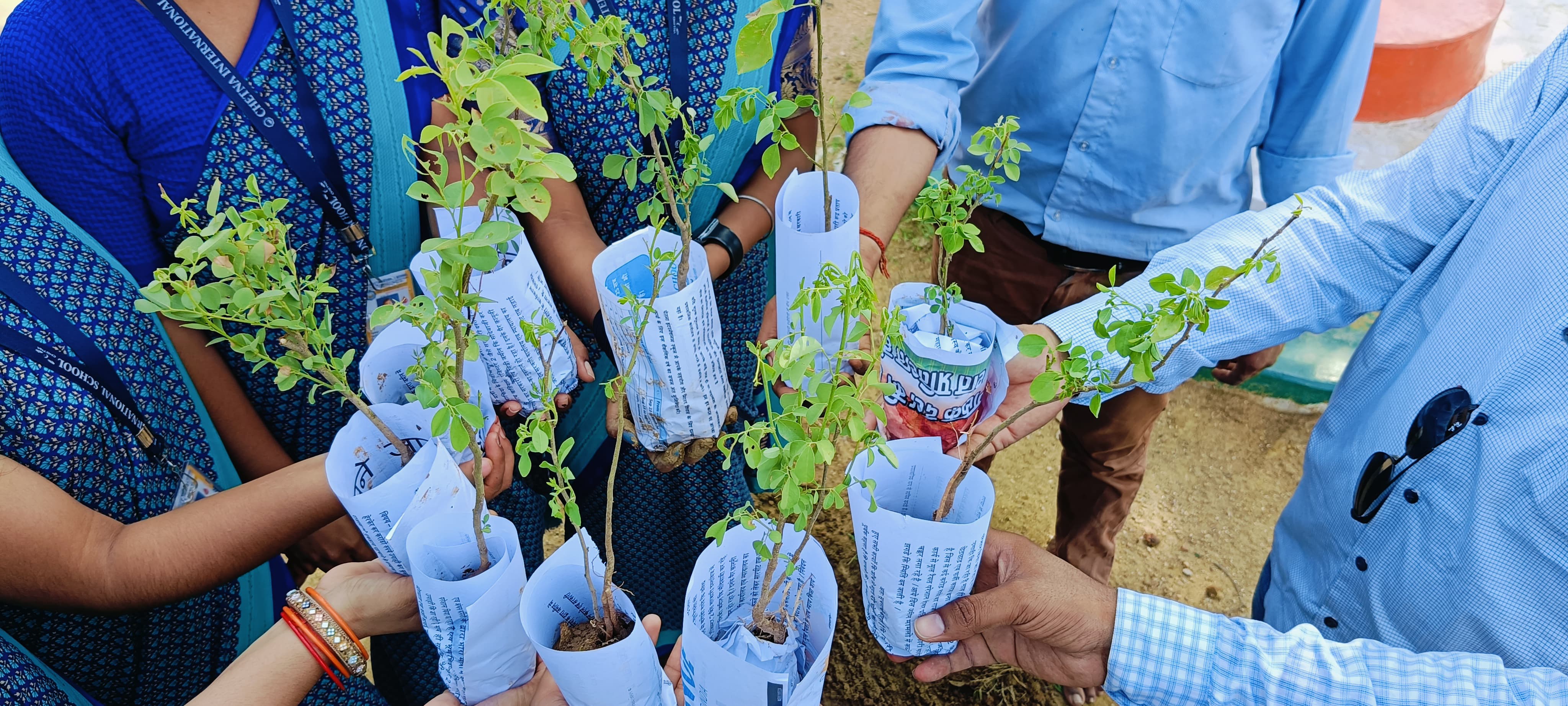 Environment Program